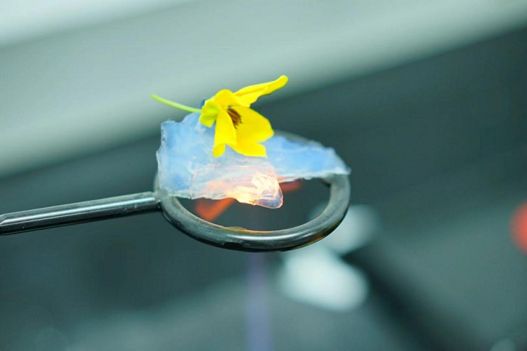 讓氣凝膠從實驗室走進(jìn)日常生活的4個原因